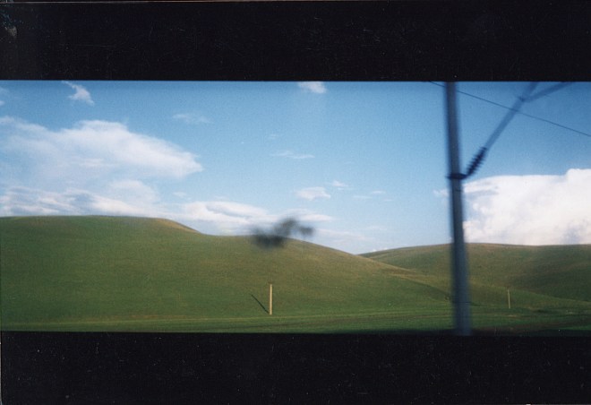 ionescu roxana hilles live performance