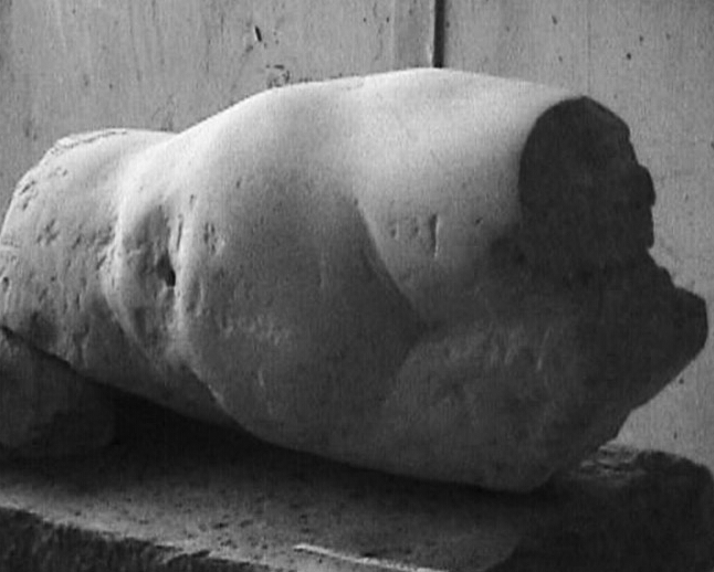 ionescu roxana ,study, lime stone,0-1