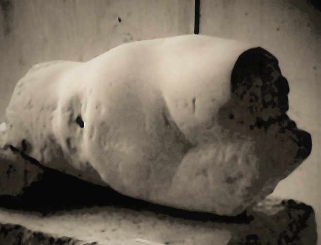 ionescu roxana torso piatra